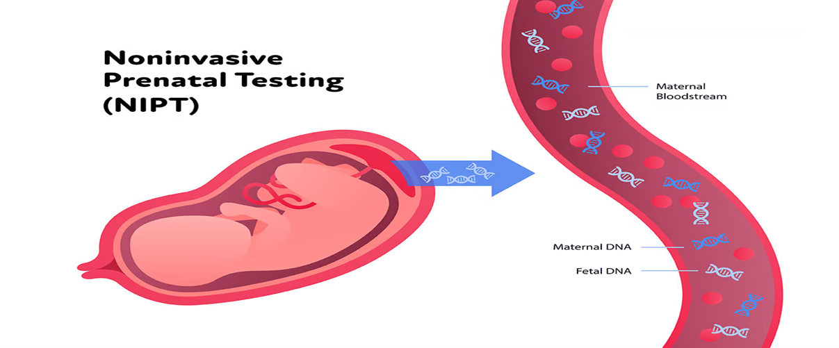 NIPT Testing Overview